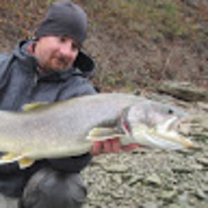 Meet your Posher, Elliot